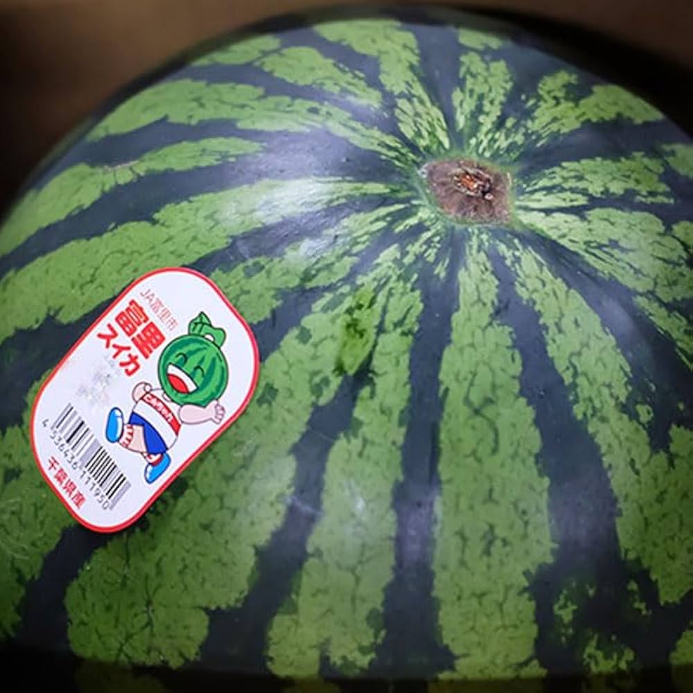 オーダー品 スイカズラとつぶつぶ草 オーダー品 スイカズラとつぶつぶ草